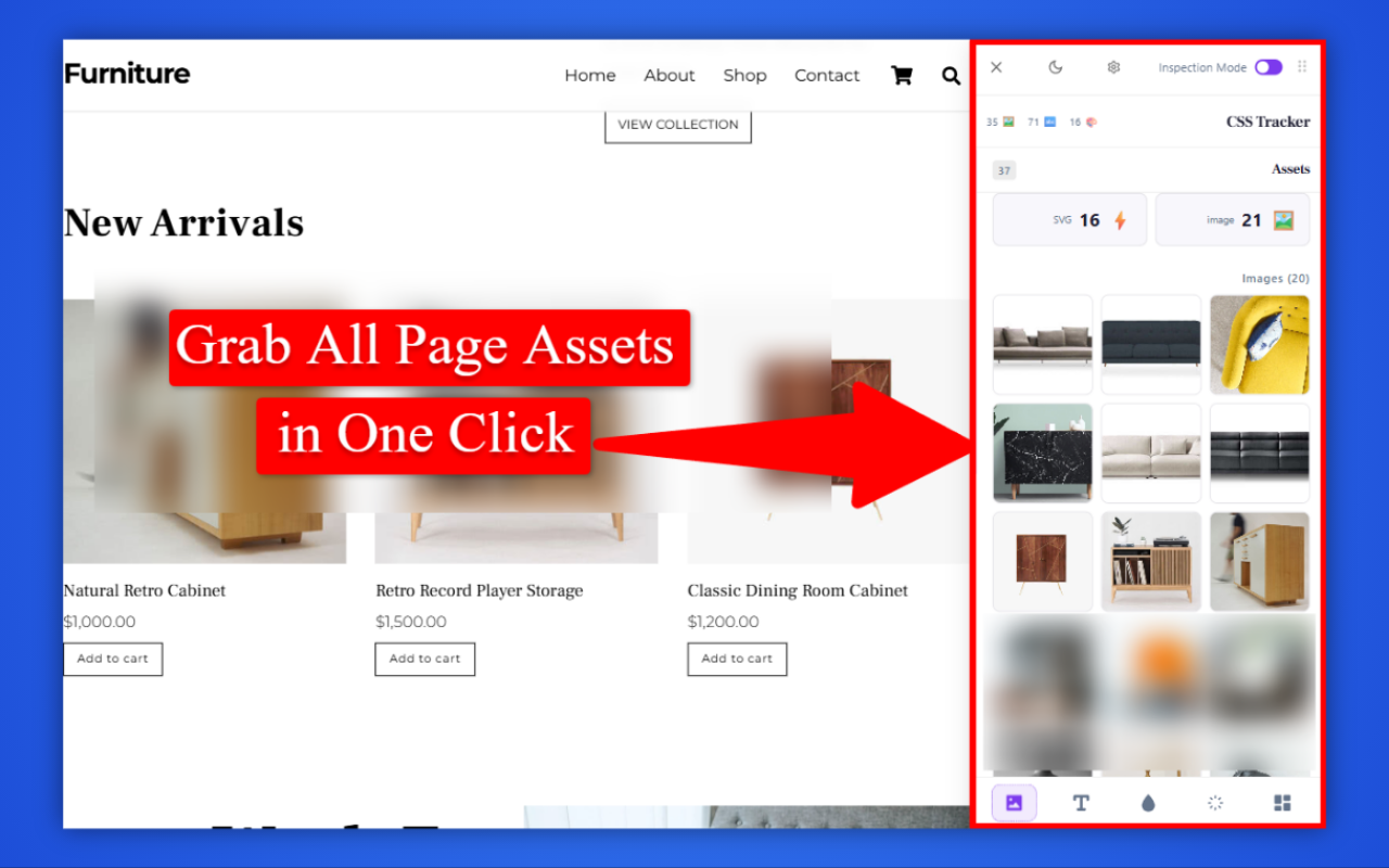 Asset Export Feature